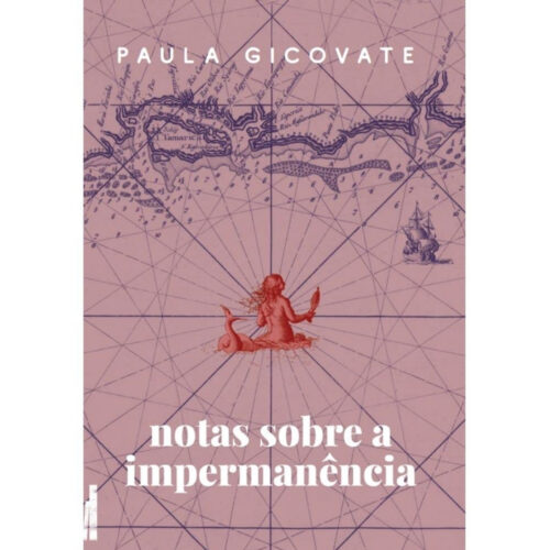 Livro - Notas sobre a impermanência  - Paula gicovate (Seminovo)