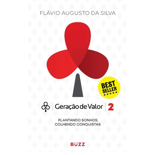 Livro - Geração de Valor Vol. 02 - Flávio Augusto da Silva (Seminovo)