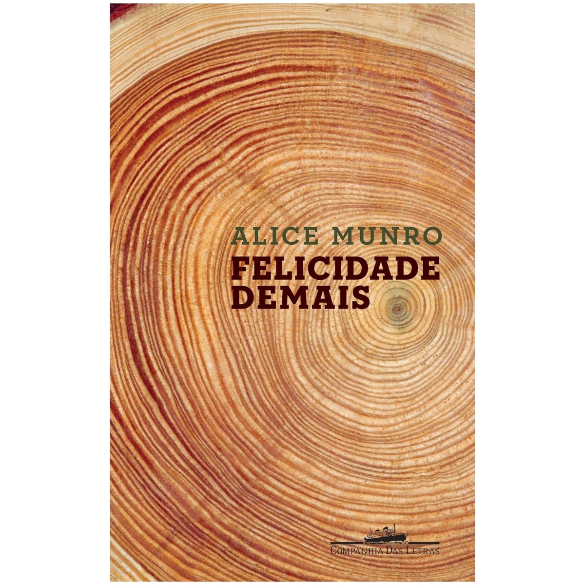 Livro - Felicidade demais - Alice Munro (Usado)