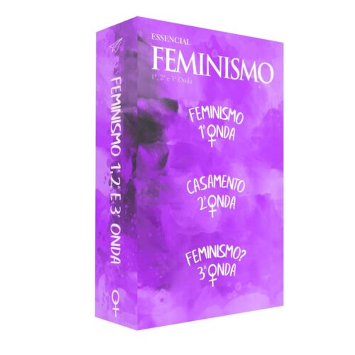 Livro - Box Essencial Feminismo - Aeroplano (Seminovo)