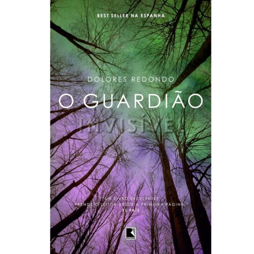 Livro - O Guardião invisivel - Dolores Redondo (Seminovo)