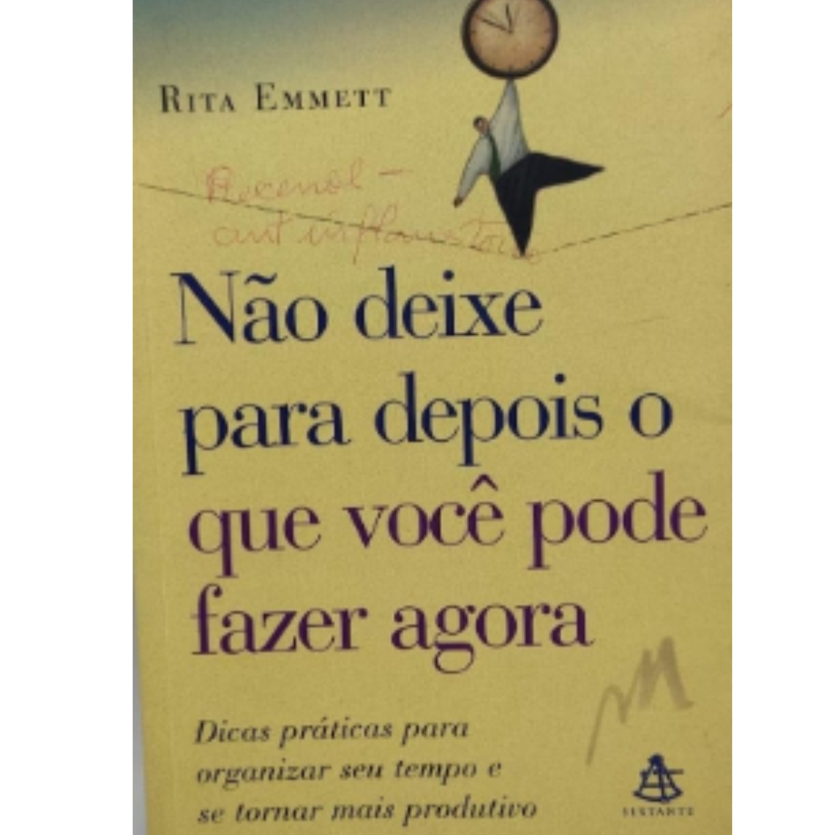 Livro - Não deixe para depois o Que você pode fazer agora - Rita Emmett (Usado) - Imagem 2