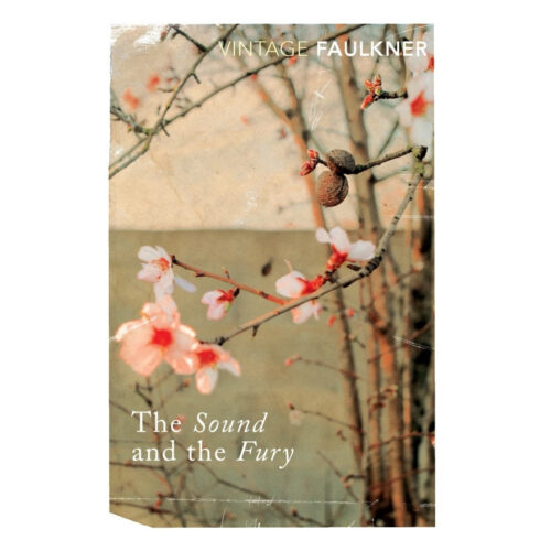 Livro - The Sound And the Fury - William Faulkner (Usado) - Ingles