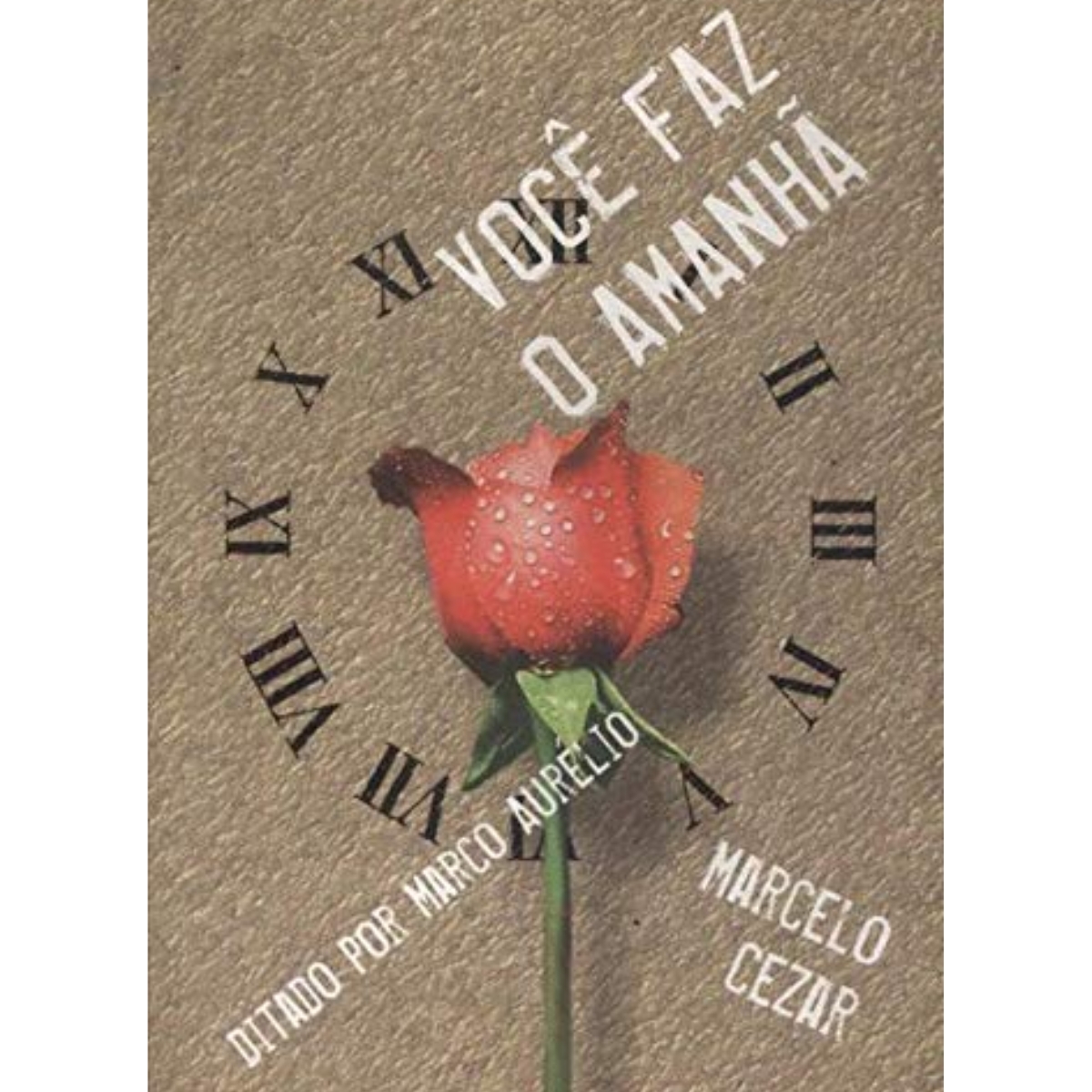 Livro - Você faz o amanhã - Marcelo Cezar (Usado) - Imagem 4