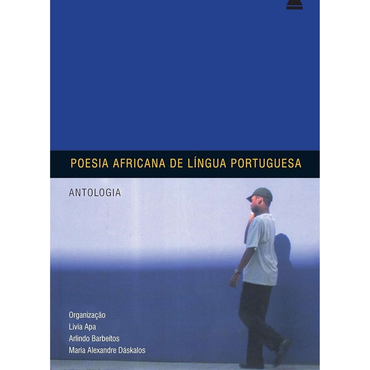 Livro - Poesia Africana de Lingua Portuguesa - Livia Apa (Usado) - Imagem 4