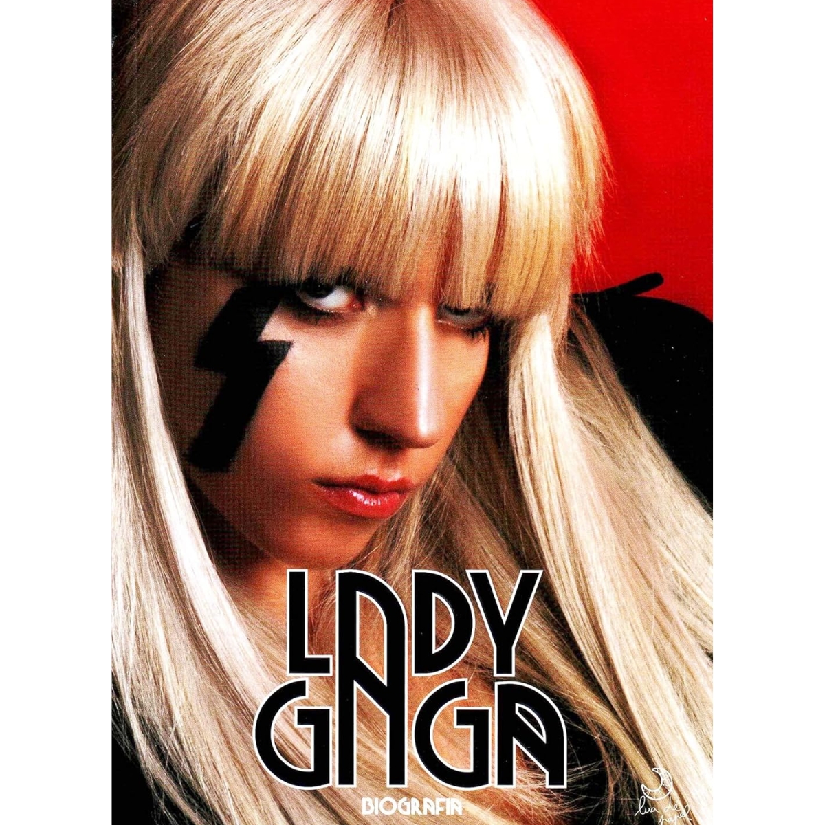 Livro - Biografia - Lady Gaga (Usado) - Imagem 4