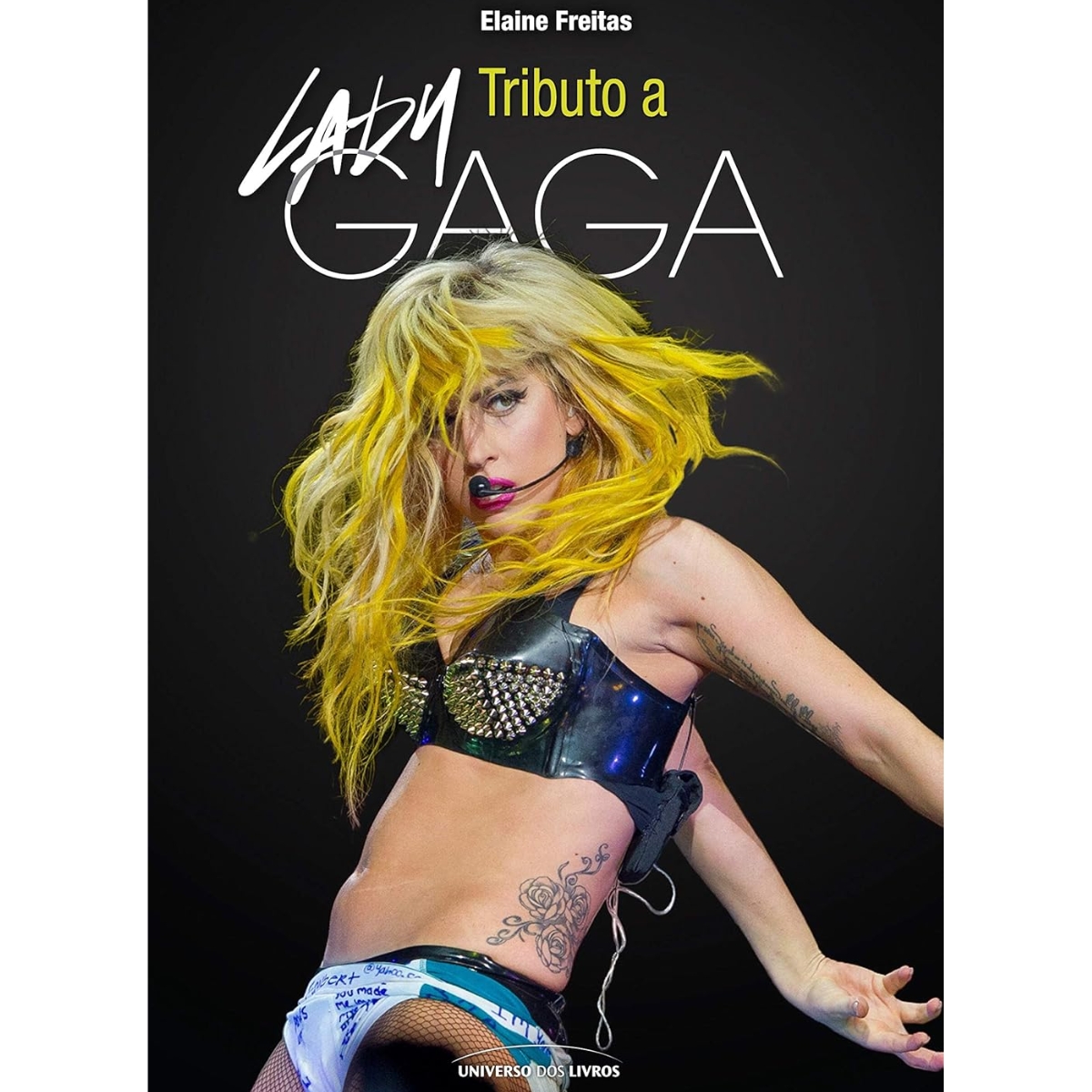Livro - Tributo A Lady gaga - Elaine Freitas (Usado)