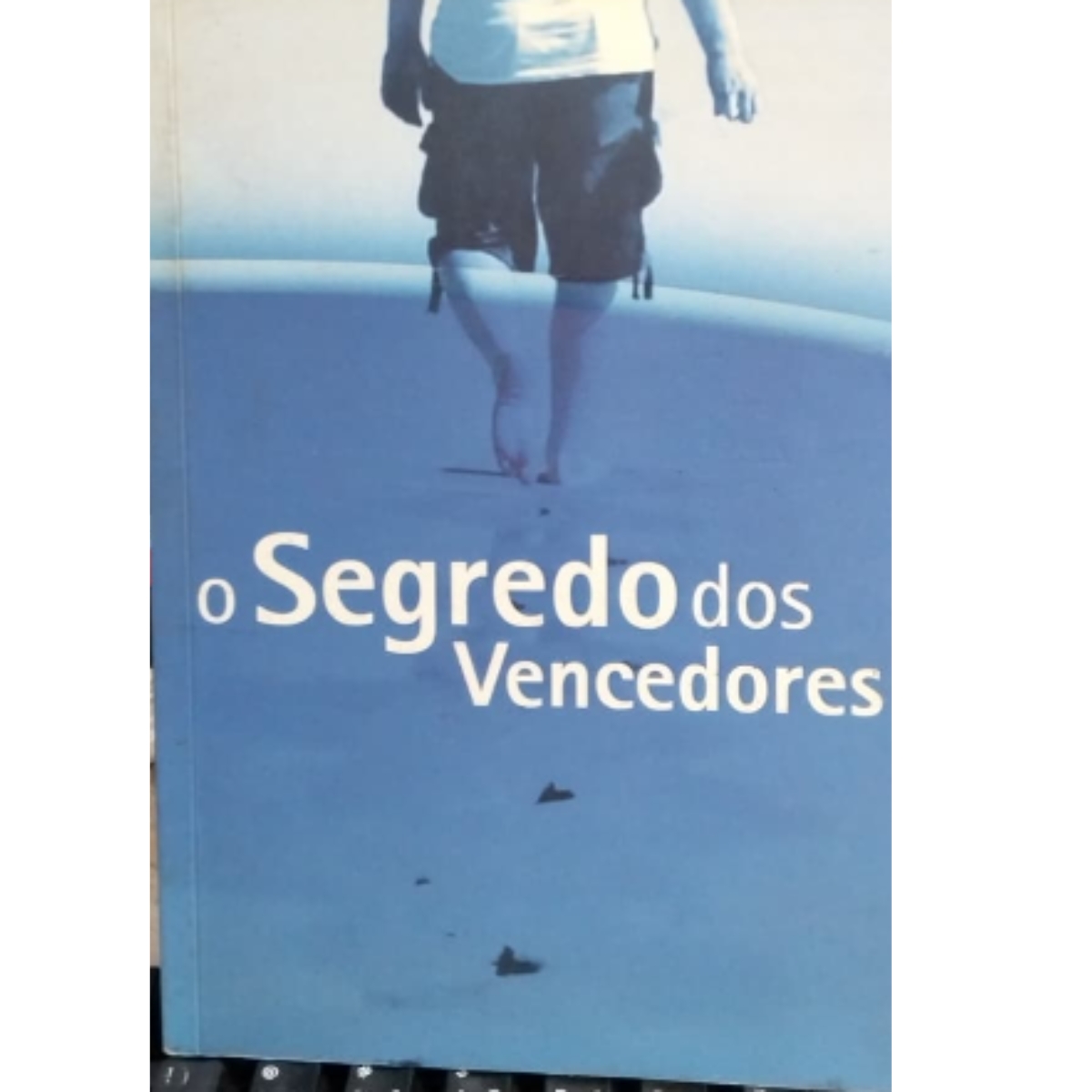 Livro - O Segredo dos Vencedores - Softway (Usado)