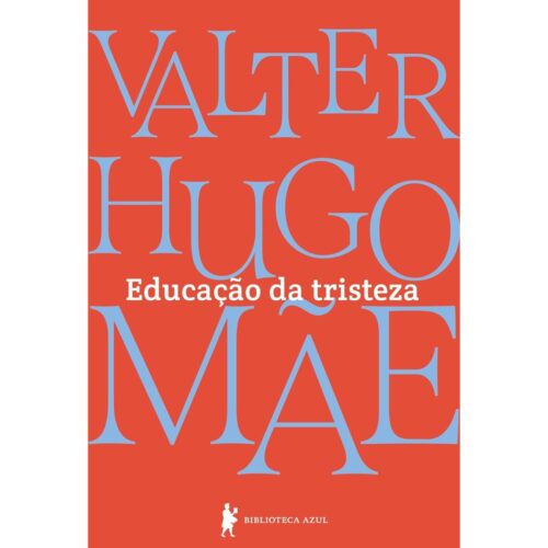 Livro - Educação da tristeza - Walter Hugo Mãe (Seminovo)*