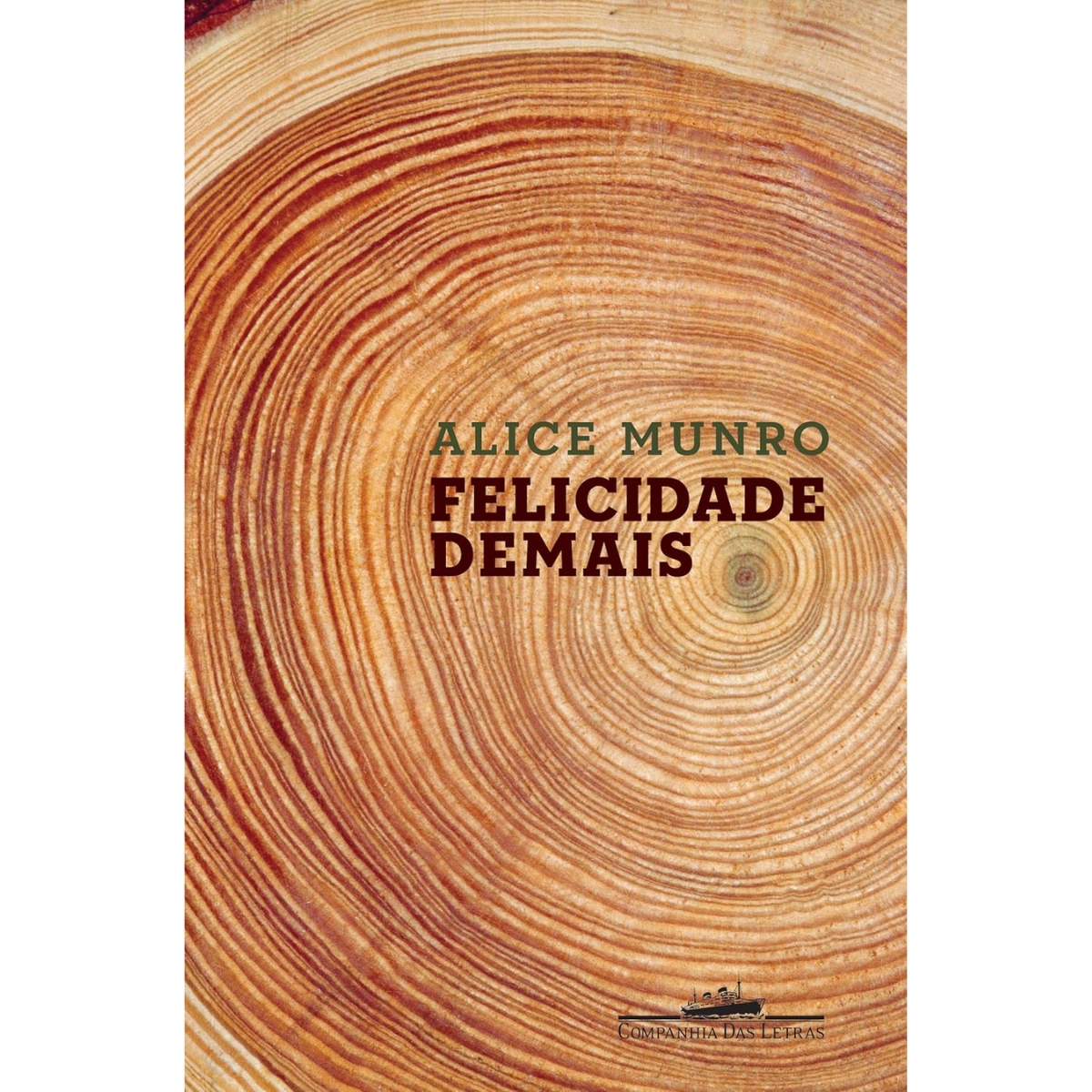 Livro - Felicidade demais - Alice Munro (Usado)