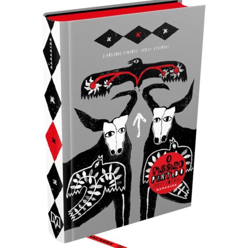 Livro - O Passáro Pintado Jerzy Kosinski - - DARKSIDE (Seminovo)*