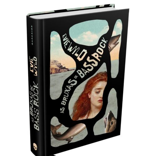 Livro - As Bruxas de Bassrock - Evie Wyld  - DARKSIDE (Seminovo)*
