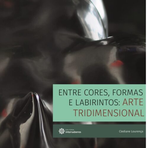 LIvro - Entre Cores Formas e Labirintos - Arte Tridimensional - Clediane Lourenço (Usado)