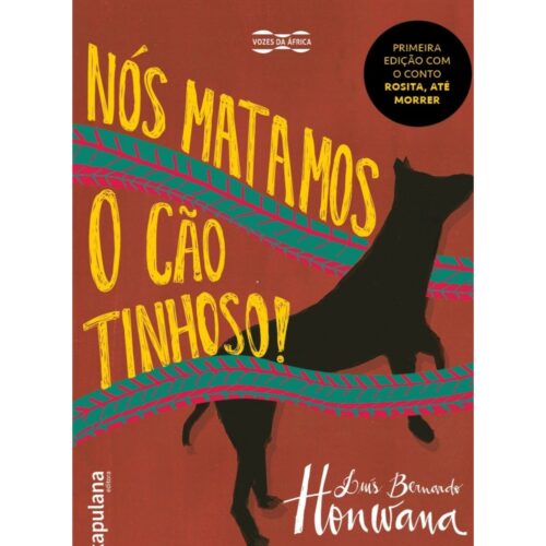 Livro - Nós Matamos o cão Tinhoso - Luiz Bernardo Honwana (Seminovo)