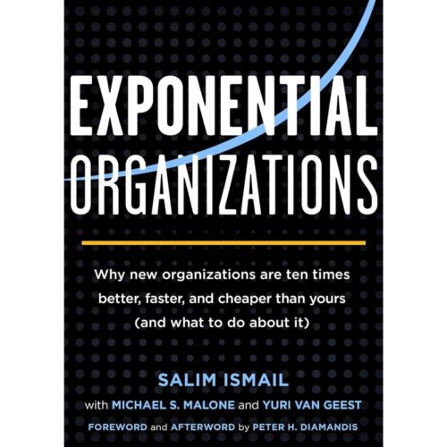 Livro - Exponential Organizations - Salim Ismail (Usado) - Inglês