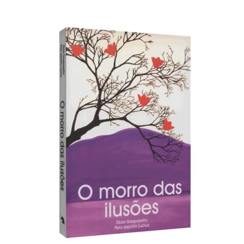 Livro - O Morro das ilusões - Zibia Gasparetto (Usado) -