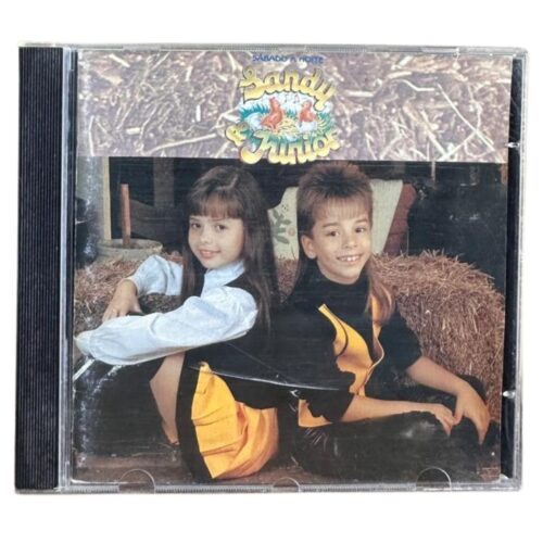 CD - Sandy & Junior - sábado à noite - usado