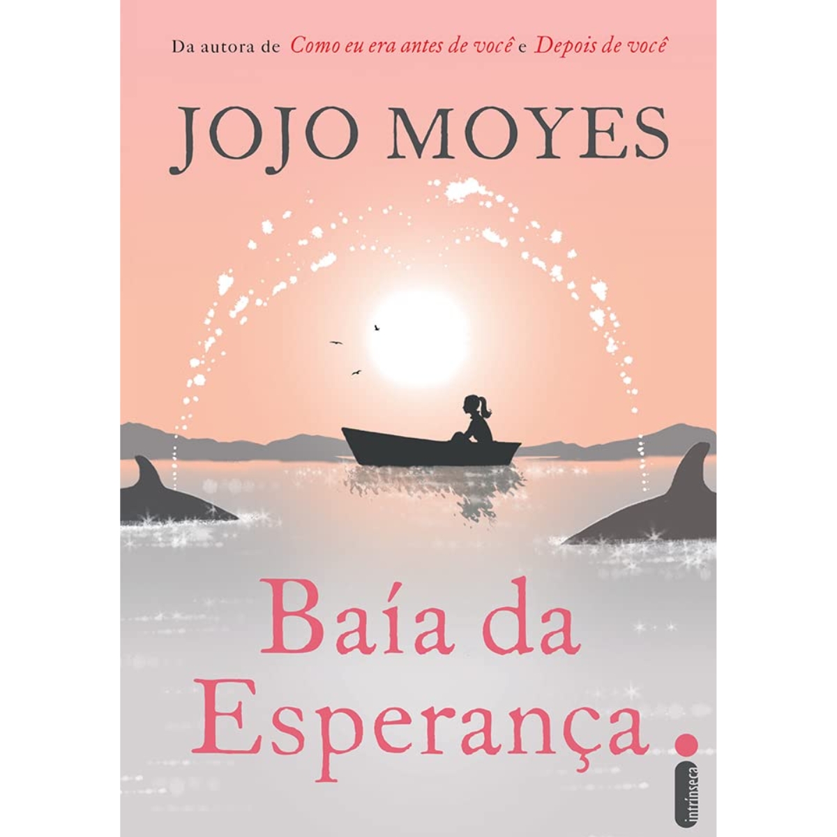 Livro - Baía da Esperança - Jojo Moyes (Usado)