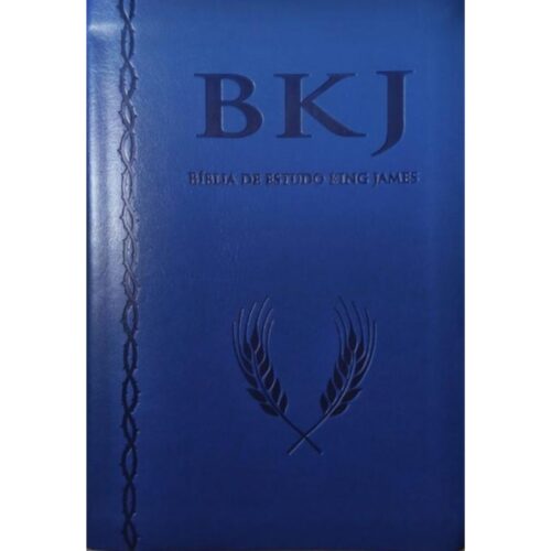 Livro - Biblia de Estudo King James (Seminovo)