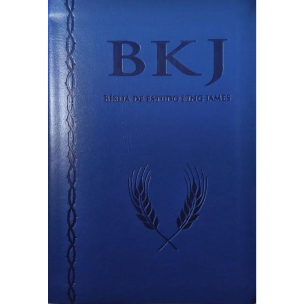 Livro - Biblia de Estudo King James (Seminovo)