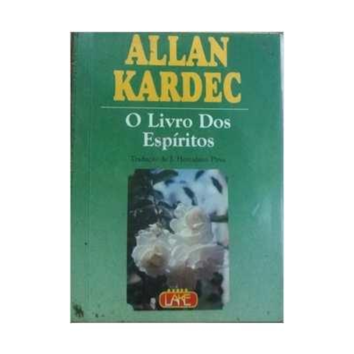 Livro - O Livro dos Espíritos - Allan Kardec - LAKE (Usado)