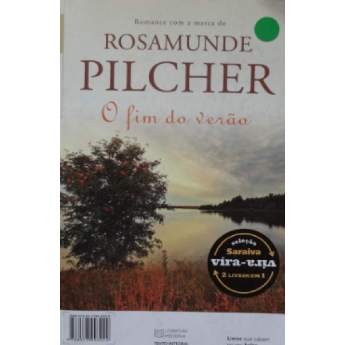 Livro - Um Encontro inesperado - Rosamunde Pilcher (Usado) - Imagem 3