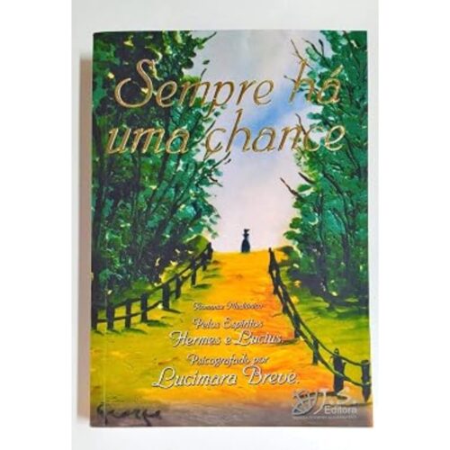 Livro - Sempre há uma chance - Lucimara BReve (Usado)