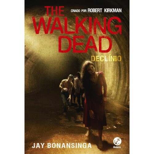 Livro - The Walking dead - Declínio - Jay Bonansinga (Usado)