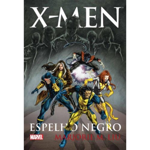 Livro - X-men Espelho Negro - Marjorie M. Liu (Usado)