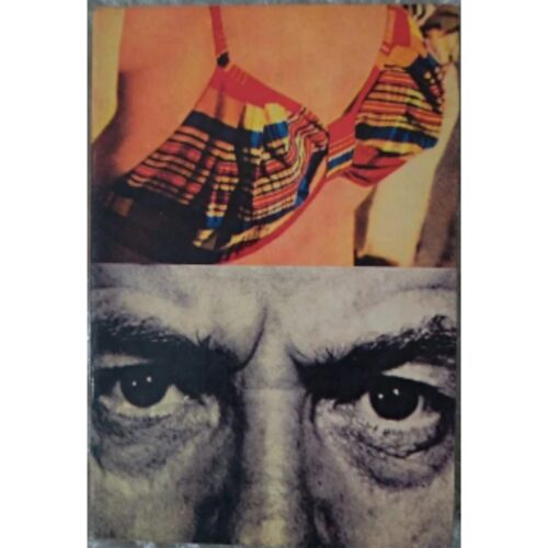 Livro - Lolita - Vladimir Nabokov (Usado)