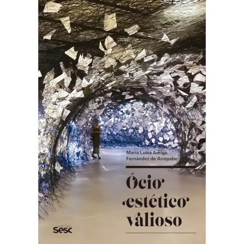 Livro - Ócio estético valioso - Maria Luisa Amigo (Usado)