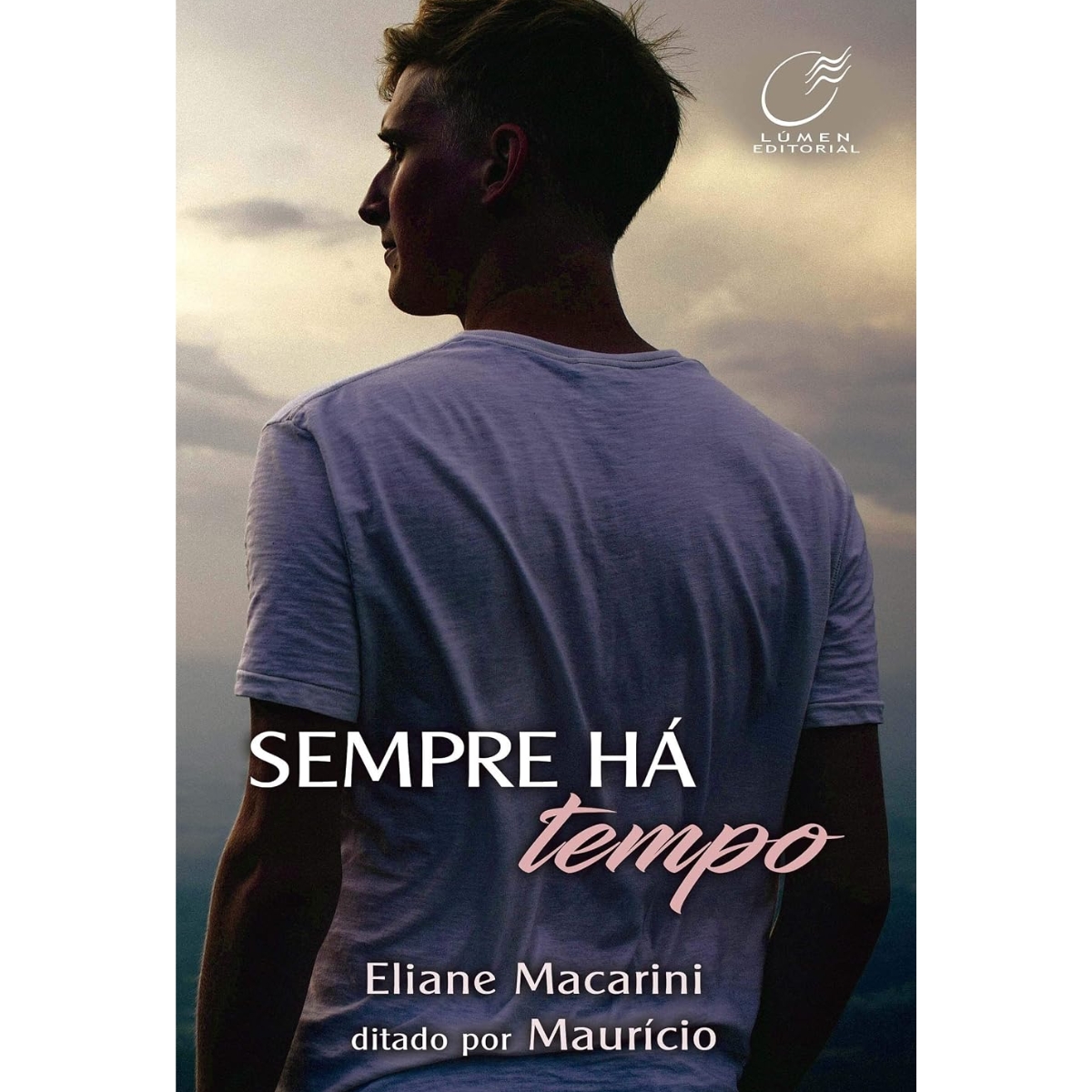 Livro - Sempre há tempo - Eliane Macarini (Usado)