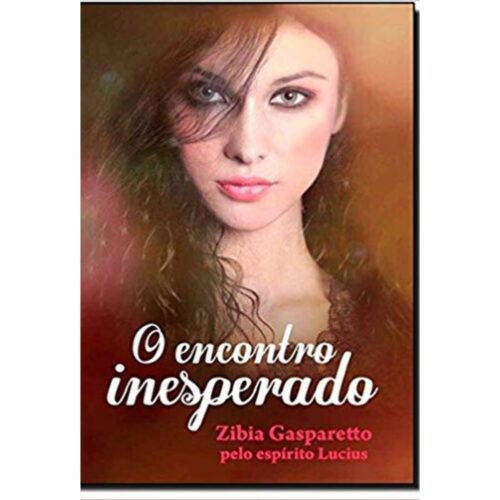 Livro - O Encontro inesperado - Zibia Gasparetto (USado)