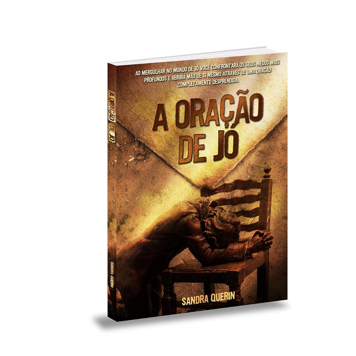 Livro - A Oração de Jó - Sandra Querin (Usado) - Imagem 3