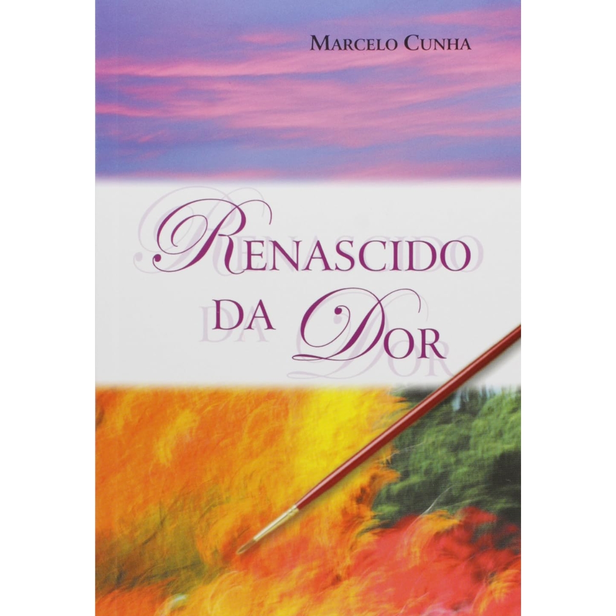 Livro - Renascido da dor - Marcelo Cunha (Usado)