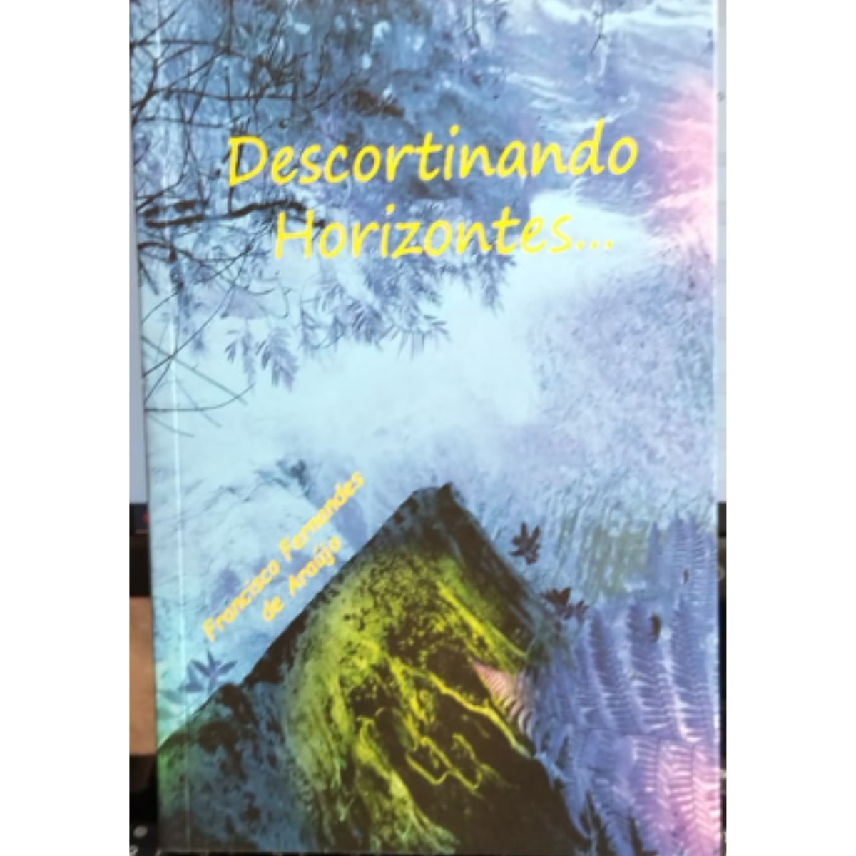 Livro - Descortinando Horizontes - Francisco Fernandes de Araujo (Usado) - Imagem 4