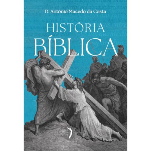 Livro - História Bíblica - Antônio Macedo Da Costa (Seminovo)