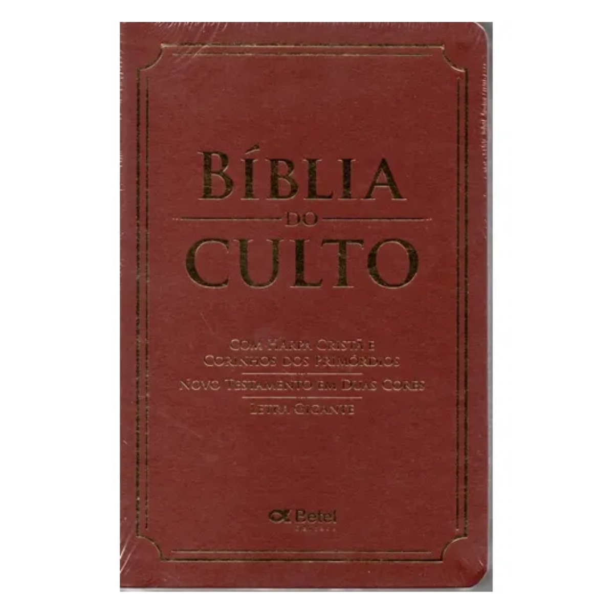 Livro - Bíblia do Culto - Letra Gigante - João Ferreira de Almeida (Usado) - Imagem 3