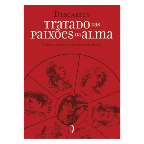 Livro - TRatado das paixões da alma - Rene Descartes (Seminovo)