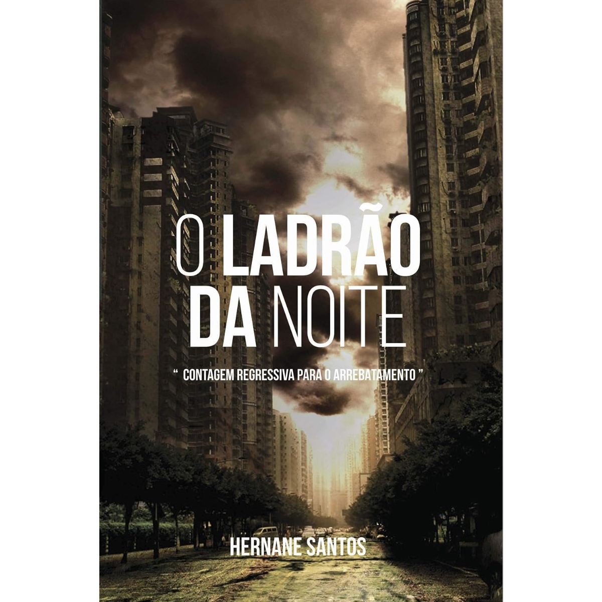 Livro - O ladrão da Noite - Hernane Santos (Usado) - Imagem 3