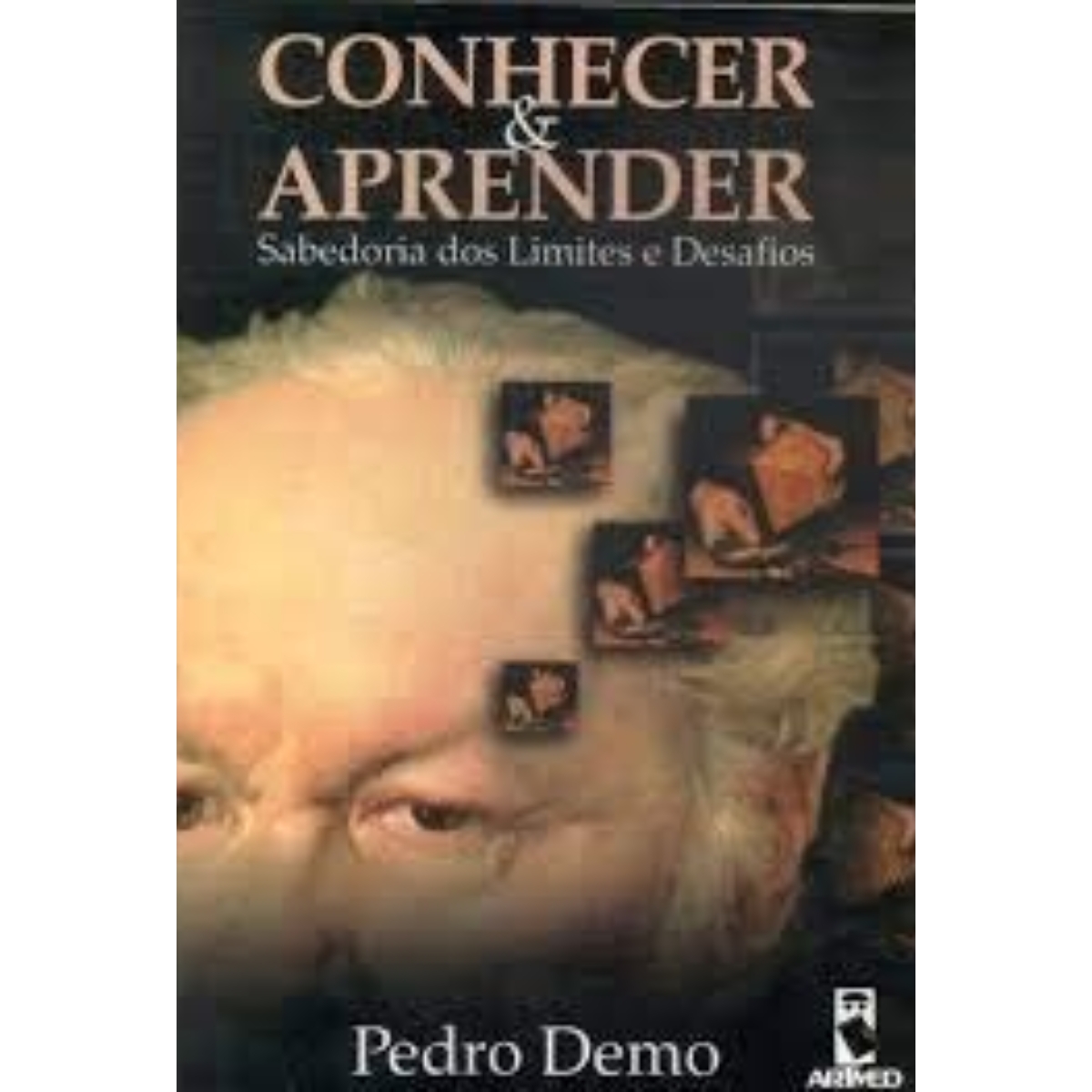 Livro - Conhecer e Aprender - Pedro Demo (Usado)