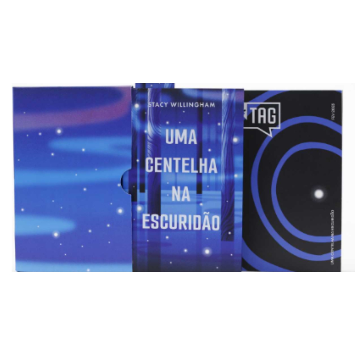 Livro - TAG - Uma Centelha na Escuridão - Stacy Willingham (Usado) - Imagem 3