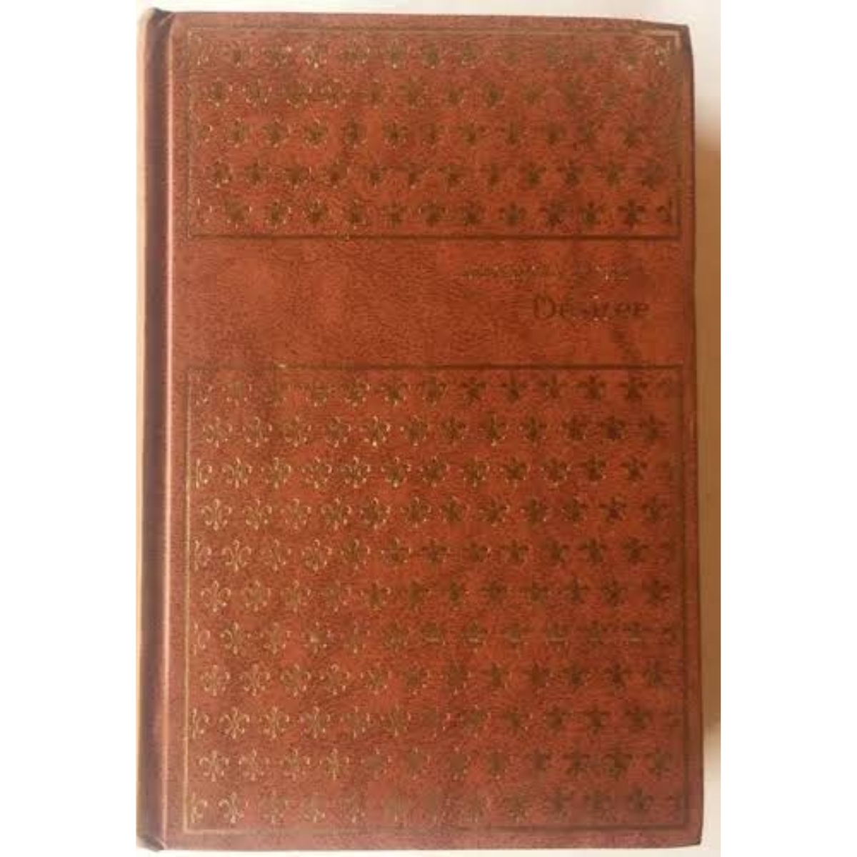 Livro - Désirée - Annemarie Selinko (Usado) - Imagem 2