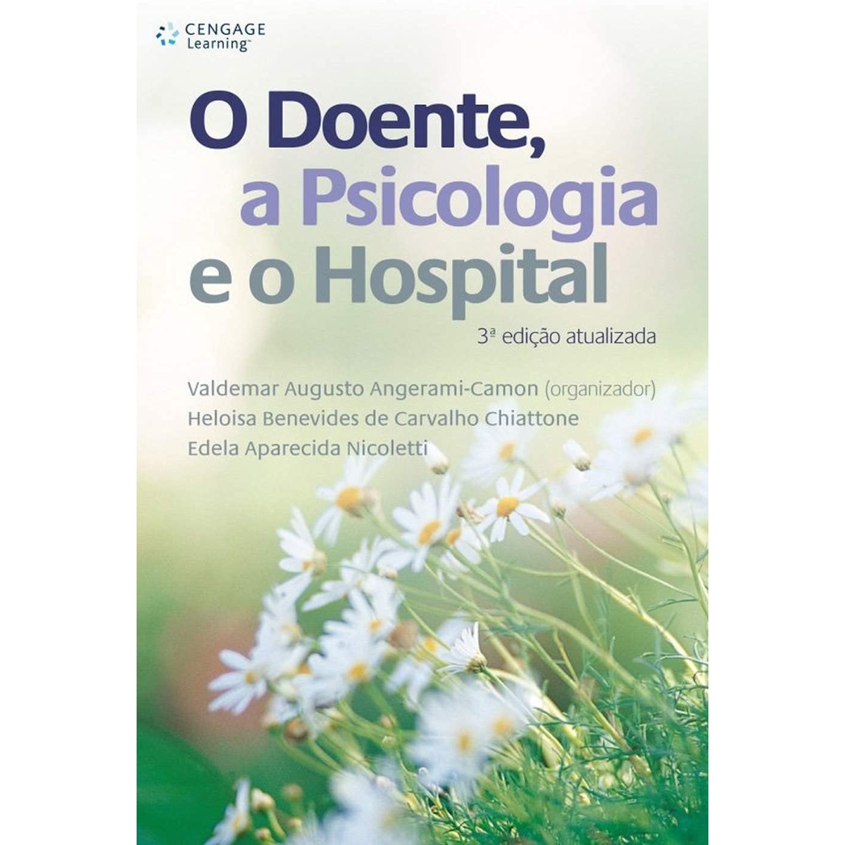 Livro - O Doente a psicologia e o Hospital - Valdemar Augusto Angerami Camon (Usado) - Imagem 3