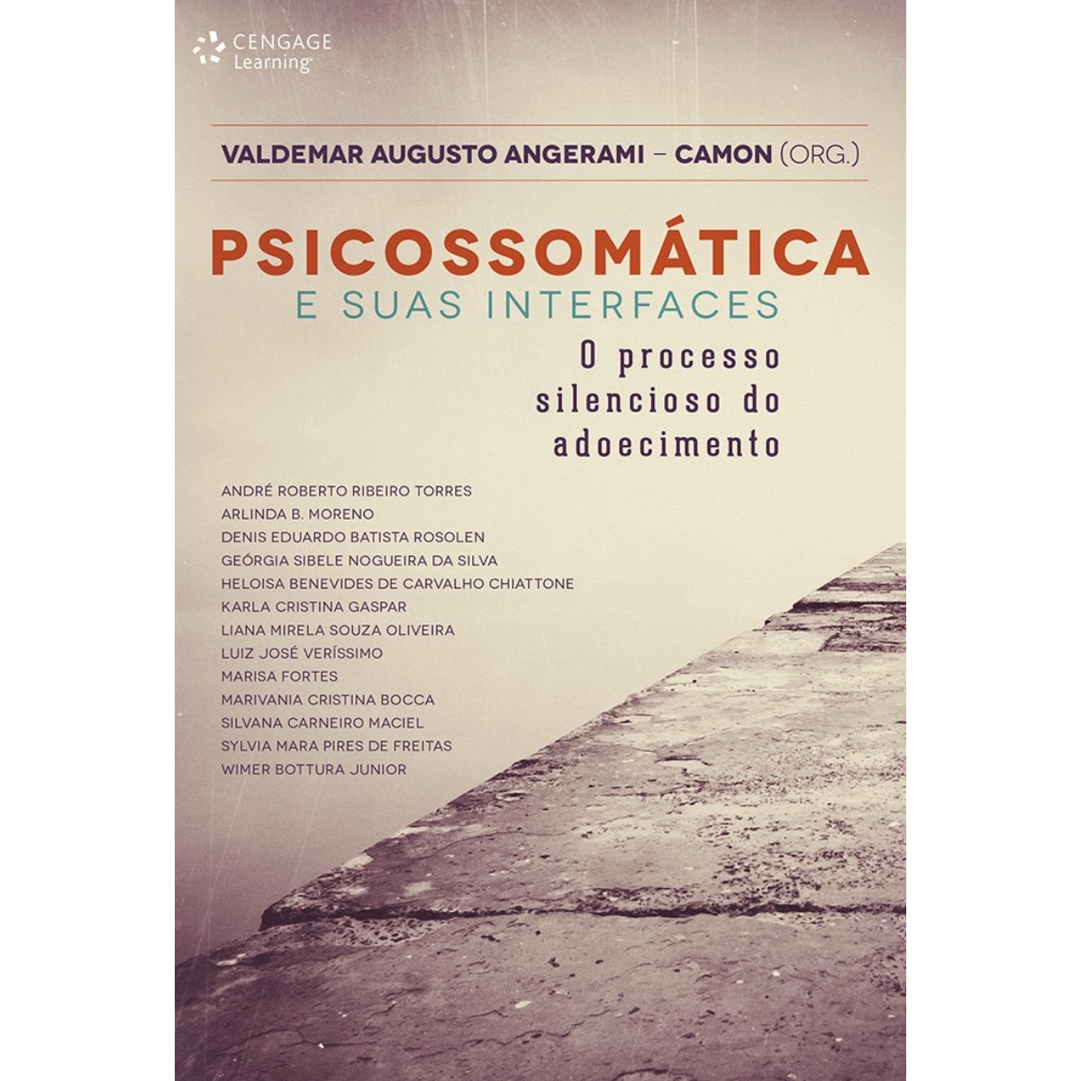 Livro - Psicossomática e suas interfaces - Valdemar Augusto Angerami Camon (Usado)