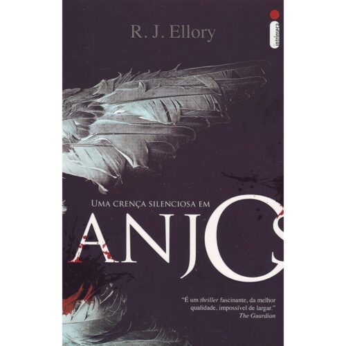 Livro - Uma Crença Silenciosa em Anjos - R.J. Ellory (usado)