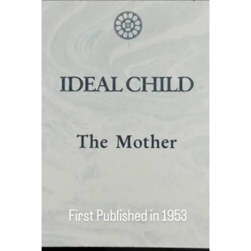 Livro - Ideal Child - The Mother (usado)