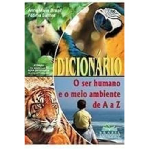 Livro - Dicionario - Anna Maria Brasil (usado)