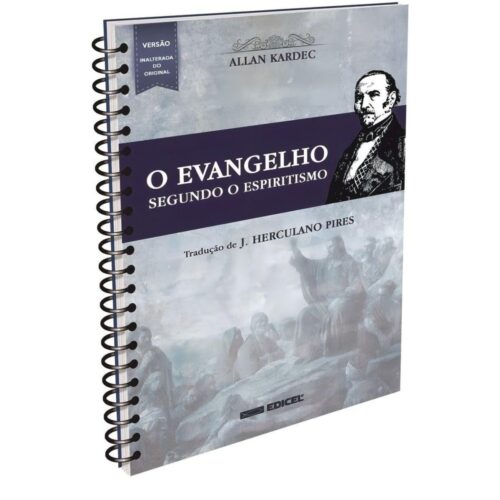 Livro - O Evangelho segundo o espiritismo - Allan Kardec (Usado)