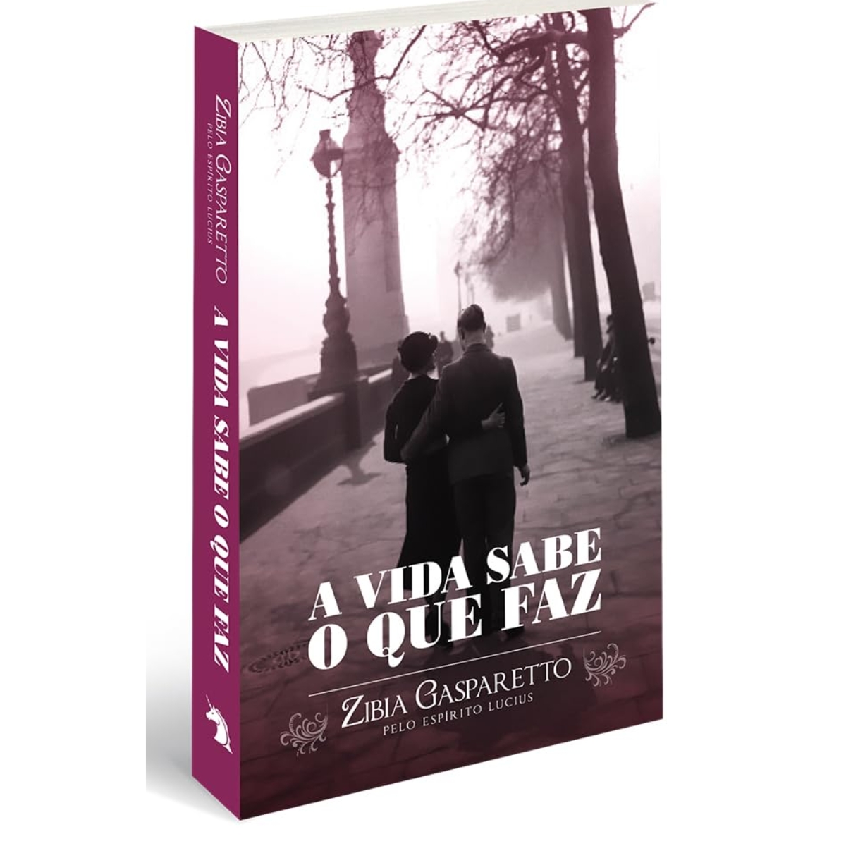 Livro - A vida Sabe o que faz - Zibia Gasparetto (Usado)